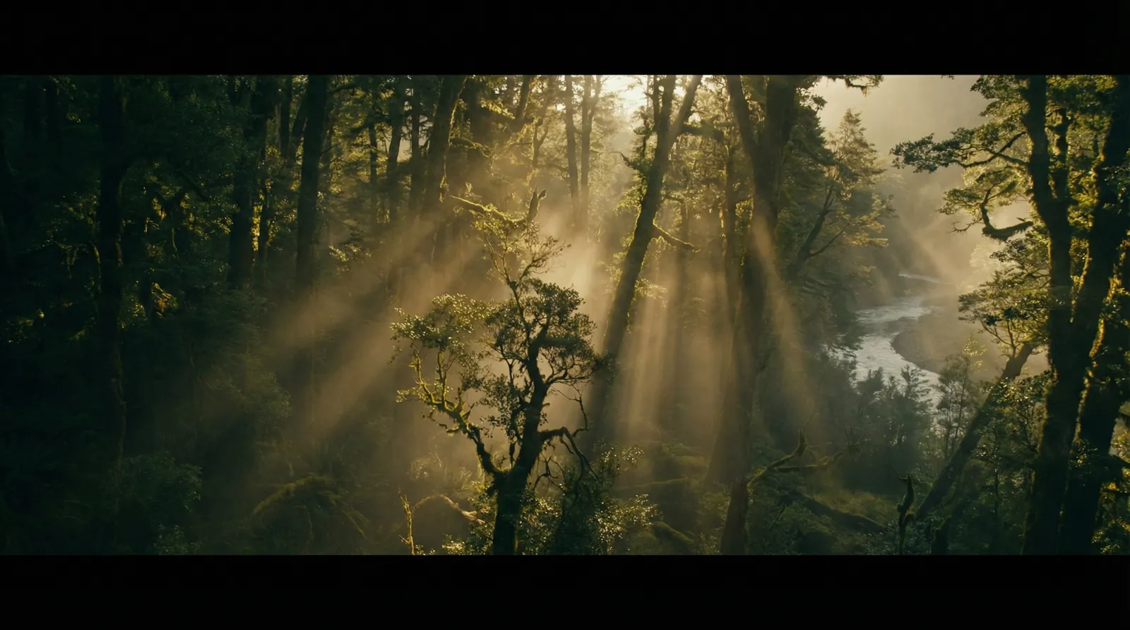 bti体育网站 自然纪录片风格调色案例